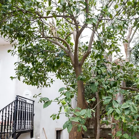 Bed & Breakfast V Harmony In Sorrento Meta